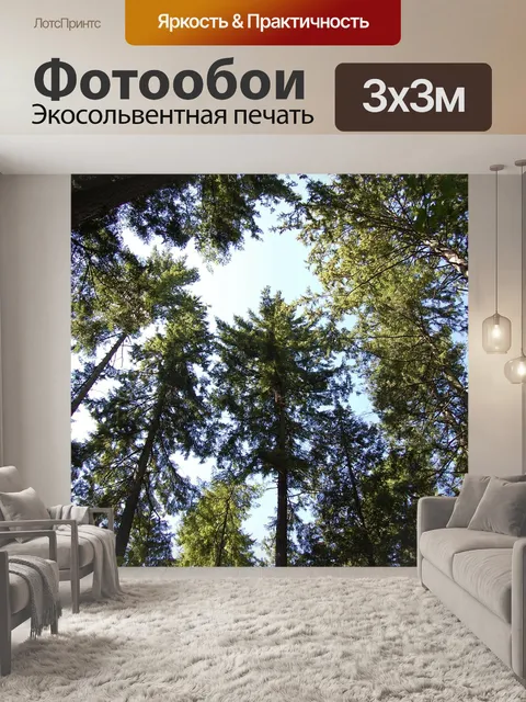 Фотообои Деревья