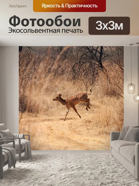 Фотообои Куду корова бежит по грунтовой дороге