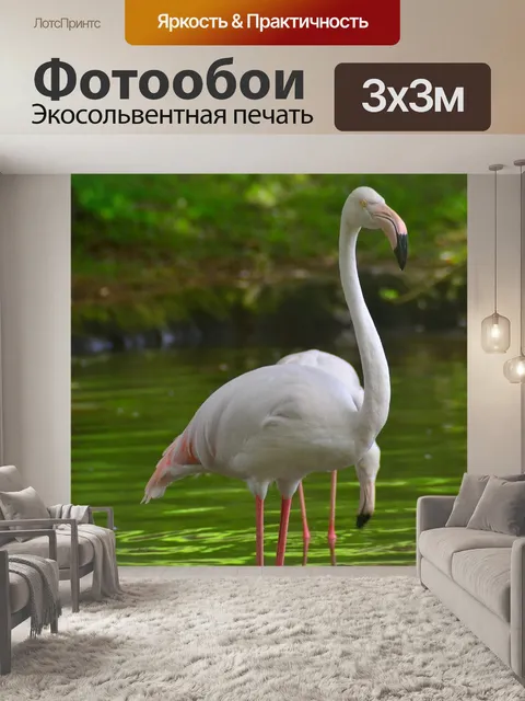 Фотообои Птица