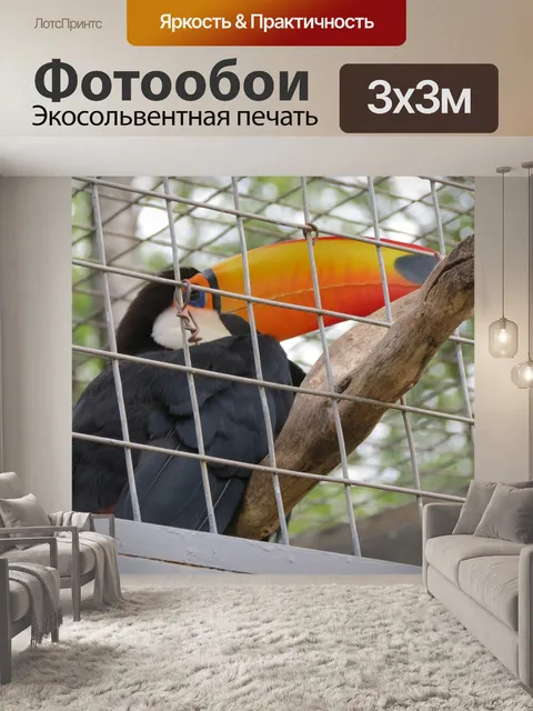 Фотообои Зоопарк
