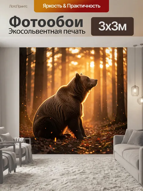 Фотообои Медведь в лесу на закате