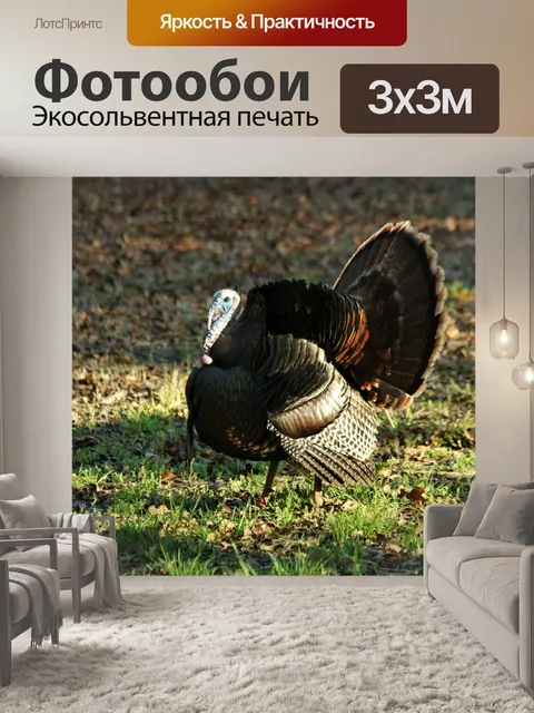 Фотообои Том Турция в утреннем свете