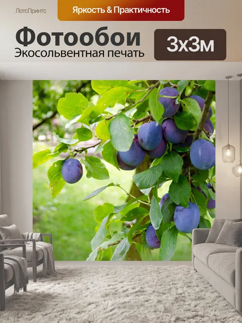 Фотообои сливы