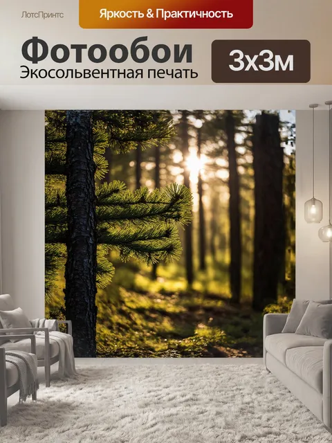 Фотообои в сердце соснового леса