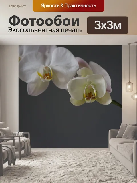 Фотообои Орхидеи