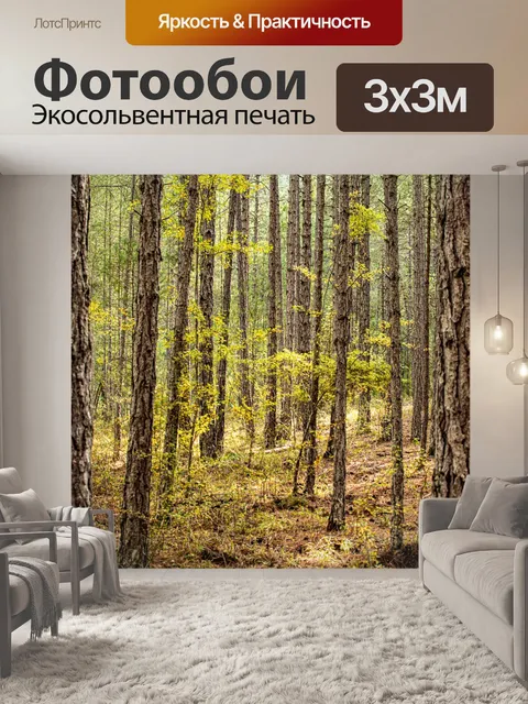 Фотообои Лес