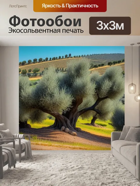 Фотообои пейзаж с оливками крутой