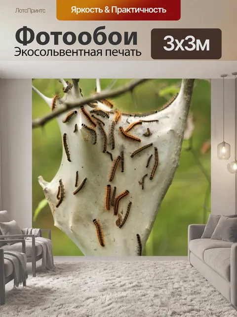 Фотообои Палатка Гусеницы на веб-макро