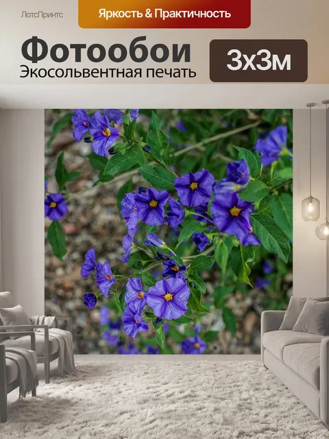 Фотообои Цветы листья