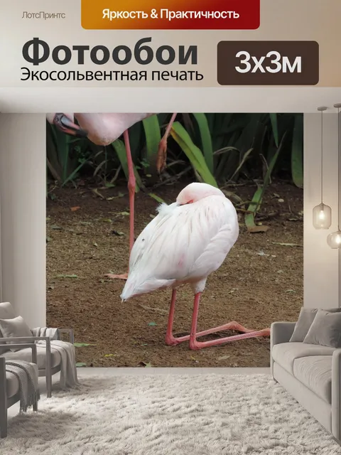 Фотообои Фламинго