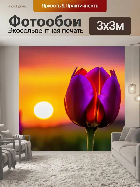 Фотообои тюльпан на фоне заката