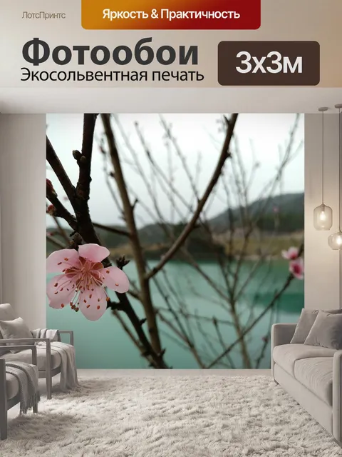 Фотообои Цветок