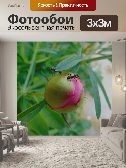 Фотообои Пион
