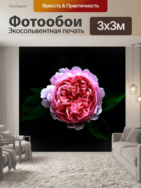 Фотообои Роуз