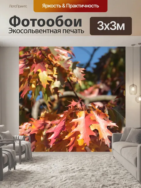 Фотообои Осень
