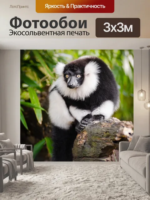 Фотообои Животное