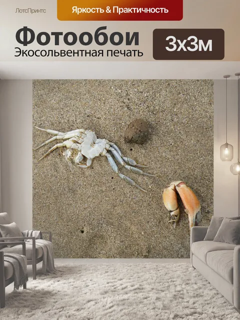Фотообои Краб