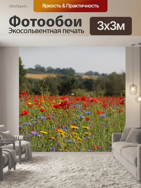 Фотообои Маковое поле