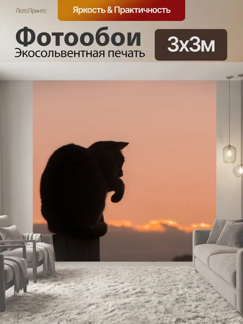 Фотообои Заход солнца