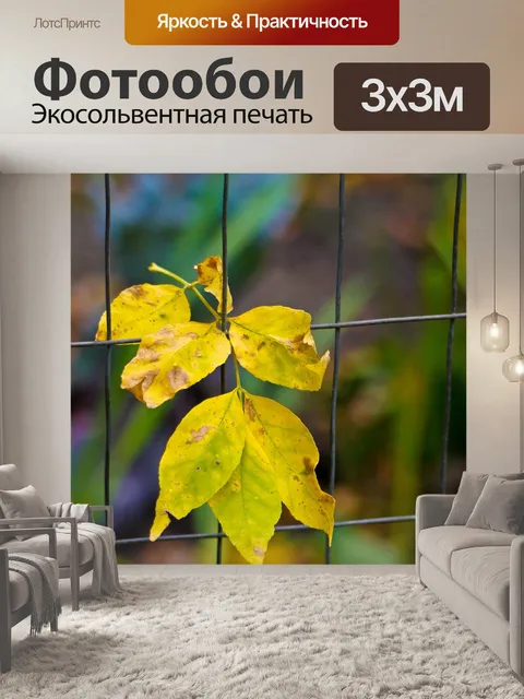 Фотообои Листья