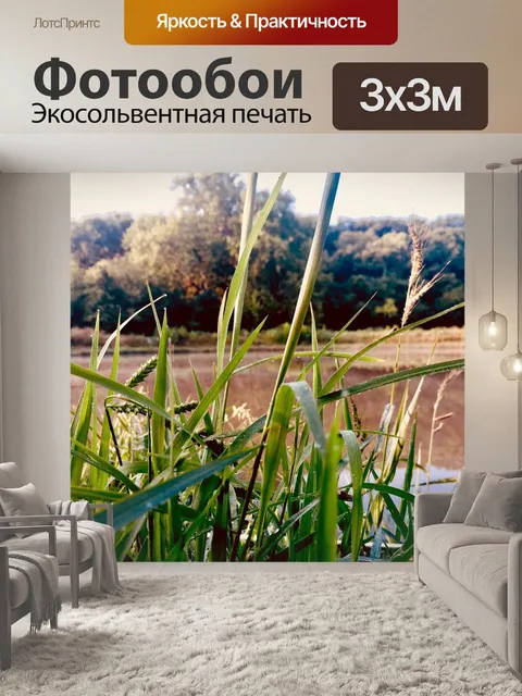 Фотообои Трава