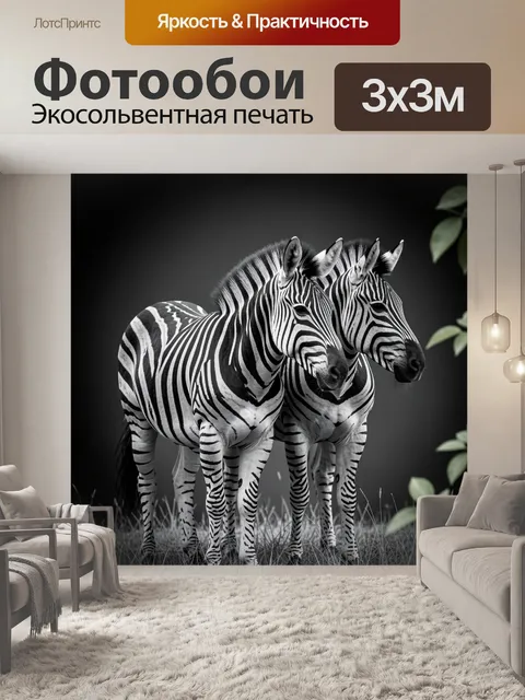 Фотообои Две зебры на фоне темного фона