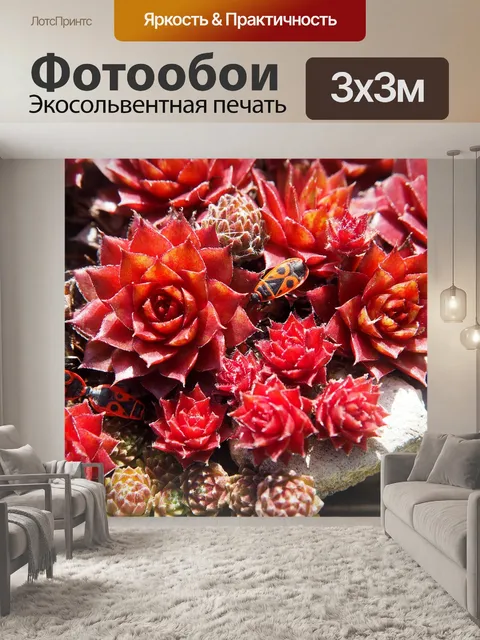 Фотообои Цветок