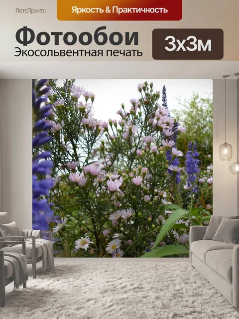 Фотообои Белый и голубой цветок