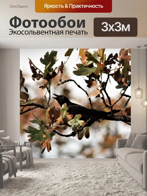 Фотообои Грейкл с желудком