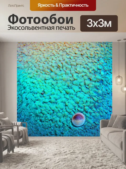 Фотообои градиент морского дна с раковинами