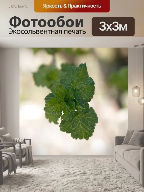 Фотообои Листья