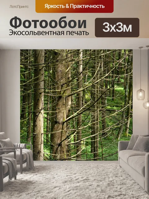 Фотообои Деревья