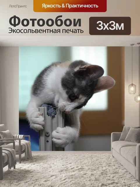 Фотообои Кошка