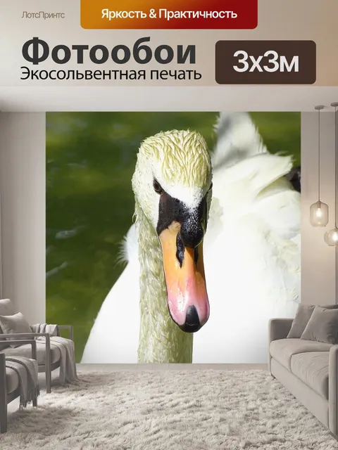 Фотообои Гусь