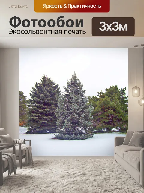 Фотообои Вечнозеленые деревья в снегу