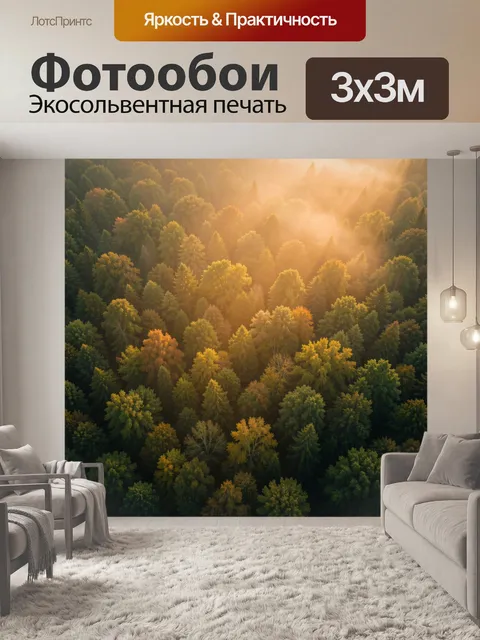Фотообои Осенний лес в солнечном тумане