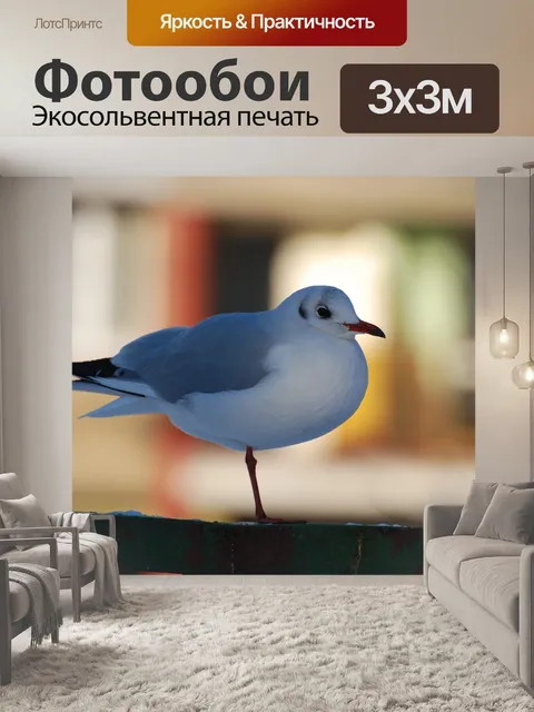 Фотообои Птица
