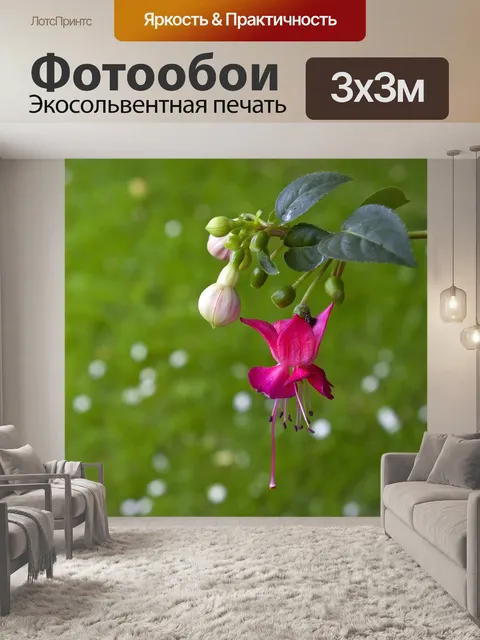 Фотообои Фуксия