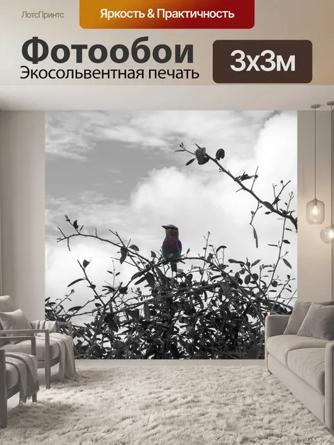Фотообои Птица