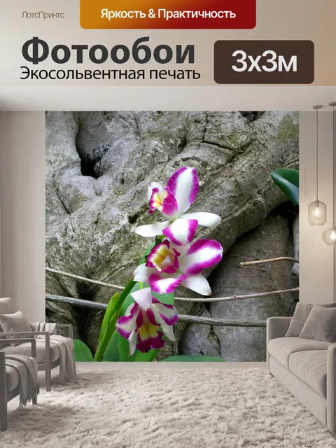 Фотообои Орхидея