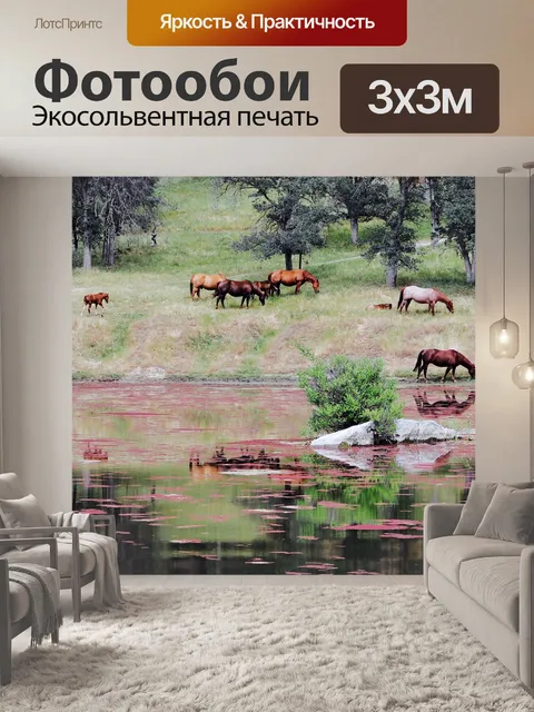 Фотообои Лошадь