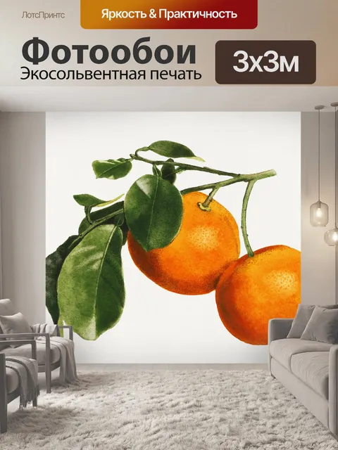 Фотообои Апельсин Фрукты Винтаж