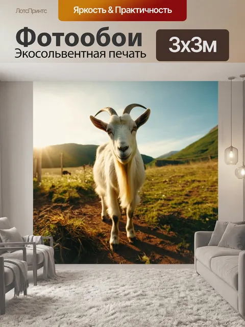 Фотообои на фоне заката