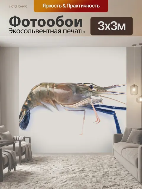 Фотообои Свежие приготовленные креветки фон мореп