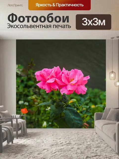 Фотообои Цветочные изображения фона