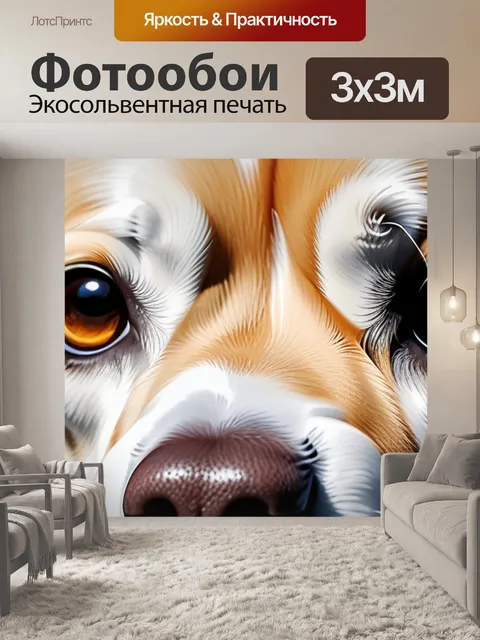 Фотообои с собакой минимал