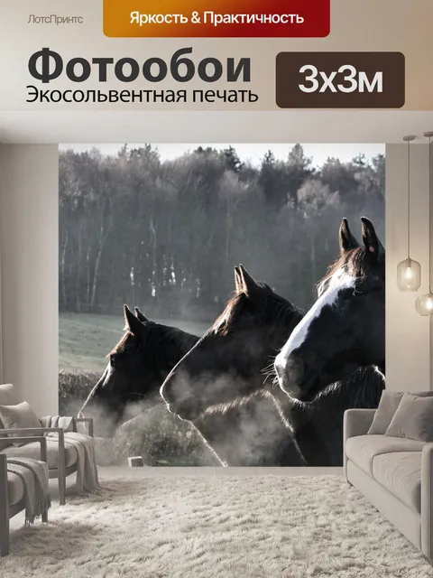 Фотообои Лошади