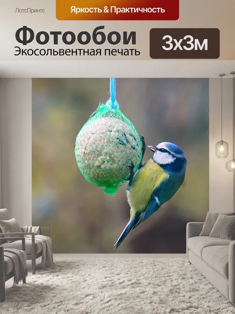 Фотообои Природа