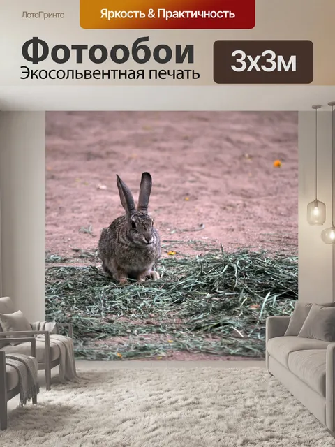 Фотообои Браун Кролик
