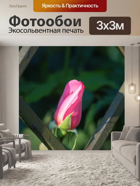 Фотообои Цветы